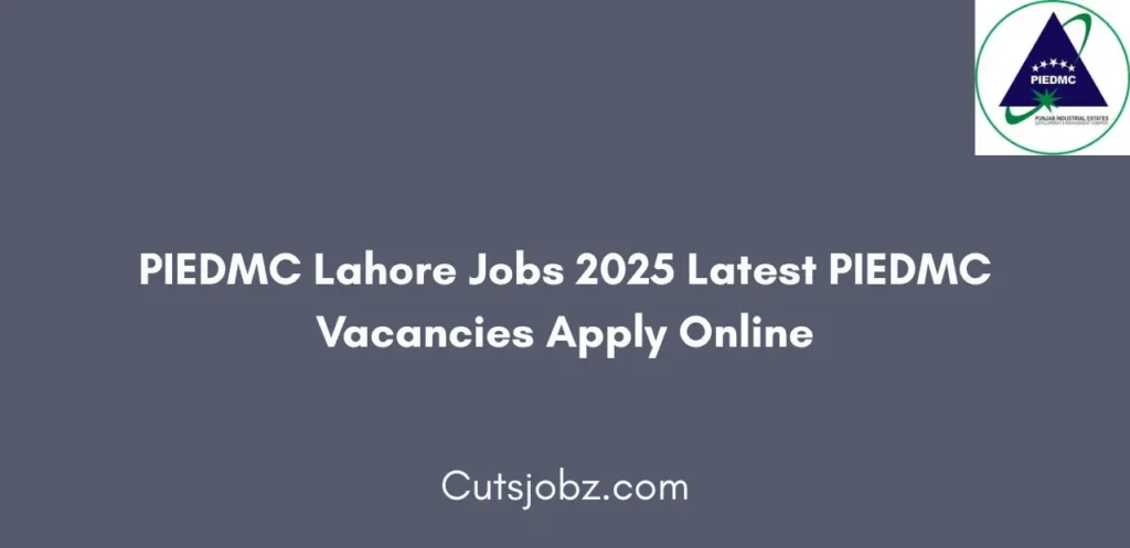 PIEDMC Lahore Jobs 2025 Latest PIEDMC Vacancies Apply Online