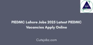 PIEDMC Lahore Jobs 2025 Latest PIEDMC Vacancies Apply Online