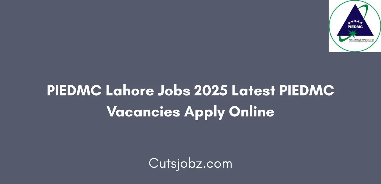 PIEDMC Lahore Jobs 2025 Latest PIEDMC Vacancies Apply Online